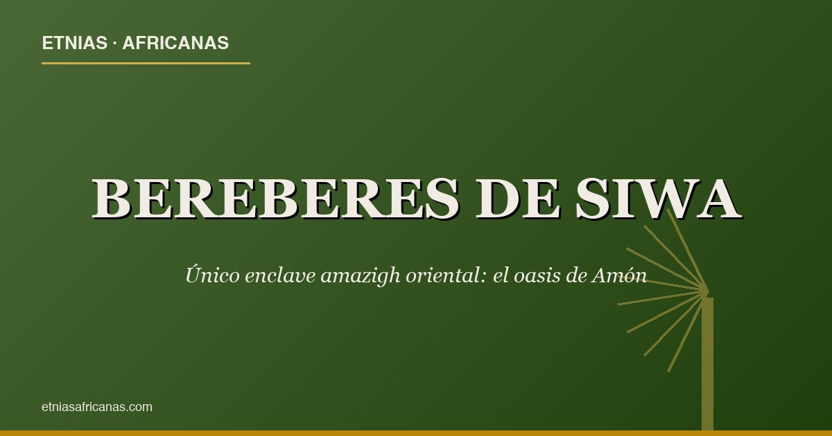 Bereberes de Siwa: enclave amazigh oriental